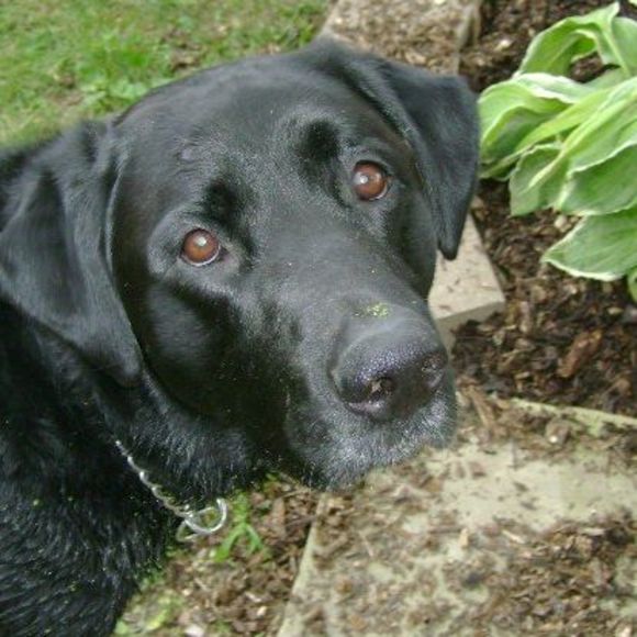 Meet your Posher, Therese - Picture 1 of 1